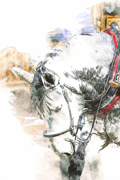 Colorido Caballo Arte Ilustración Grunge Pintura — Foto de Stock