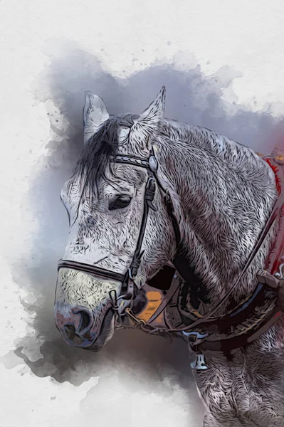 Colorful Horse Art Illustration Grunge Painting — Stock Photo, Image