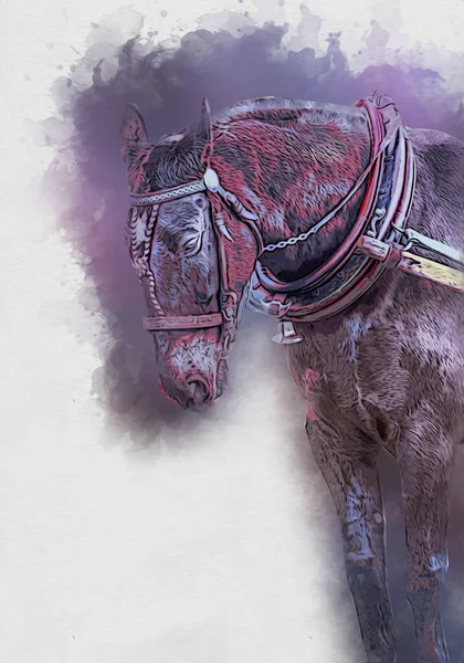 Colorful Horse Art Illustration Grunge Painting — Stock Photo, Image