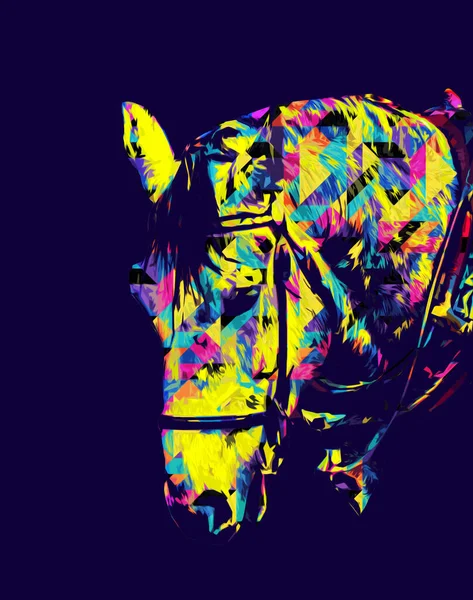 Colorido Caballo Arte Ilustración Grunge Pintura — Foto de Stock