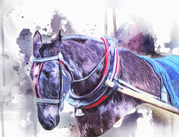 Colorful horse art illustration grunge painting