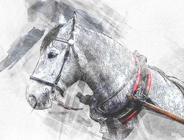 Illustration Art Cheval Coloré Peinture Grunge — Photo