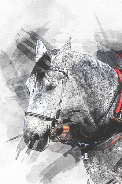 Kleurrijke Paard Kunst Illustratie Grunge Schilderij — Stockfoto