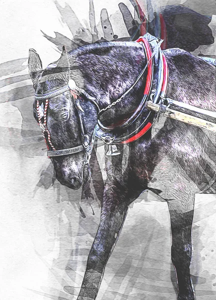 Pittura Grunge Colorata Illustrazione Arte Cavallo — Foto Stock