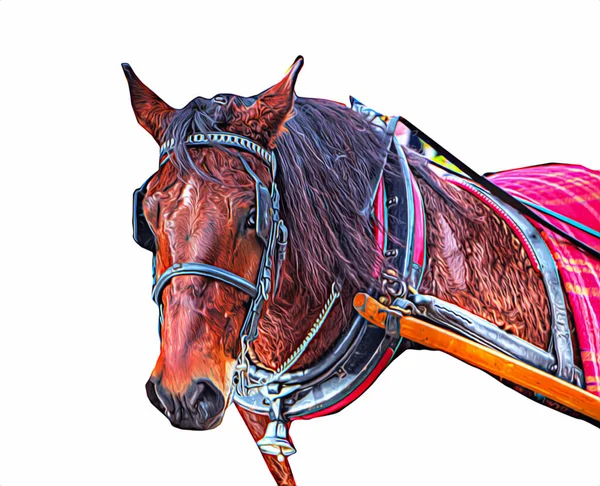 Colorido Caballo Arte Ilustración Grunge Pintura —  Fotos de Stock