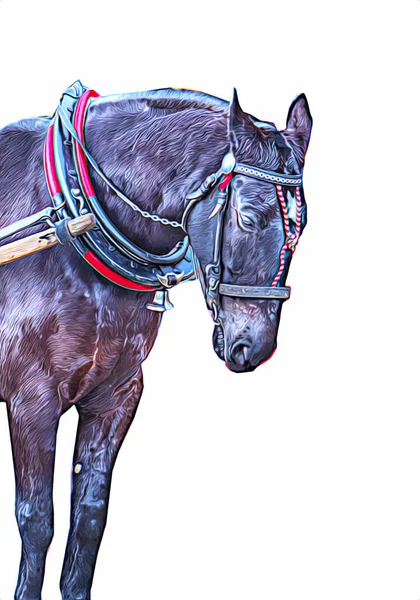 Colorido Caballo Arte Ilustración Grunge Pintura —  Fotos de Stock