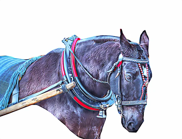 Colorido Caballo Arte Ilustración Grunge Pintura —  Fotos de Stock