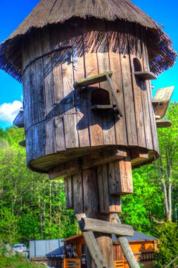 Arka bahçede kuş besleme, ortaçağ tarihi sanat illüstrasyonu antika eskiz