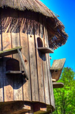 Arka bahçede kuş besleme, ortaçağ tarihi sanat illüstrasyonu antika eskiz