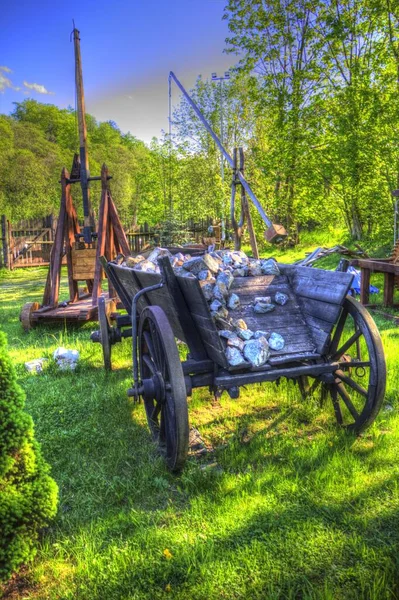 Typical Historic Wooden Carriage Meadow Mediaeval Old History Art Illustration — 图库照片