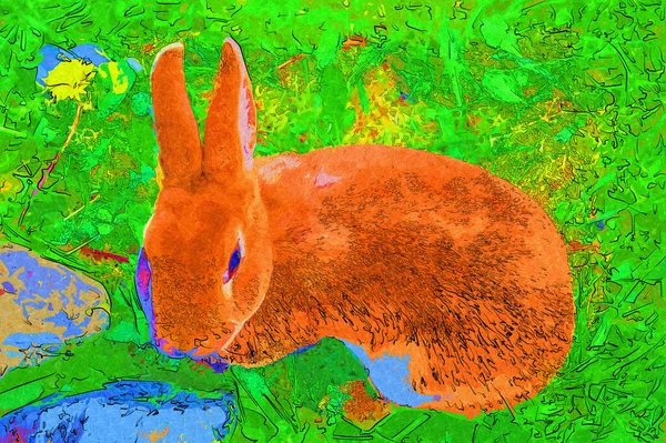 Милый Кролик Сидит Зеленом Поле Весенний Луг Пасхальный Кролик Охота — стоковое фото