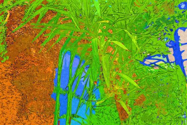 Dracena reflexa ya da Jamaika Yeşili Bitki Sanatı Eski Antika