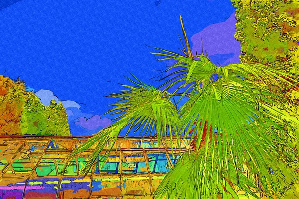 Chinese Waaier Palmboom Blad Kunst Illustratie Retro Tekening Schets Retro — Stockfoto