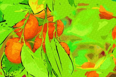 Bahar Festivali 'nde süs bitkisi olarak kullanılan verimli saksı portakalları, illüstrasyon, çizim, eskiz, antika, antika, antika