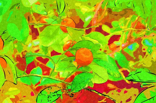 Fruktbara Krukväxter Mandarin Apelsiner Som Används Som Prydnadsväxt Våren Festival — Stockfoto