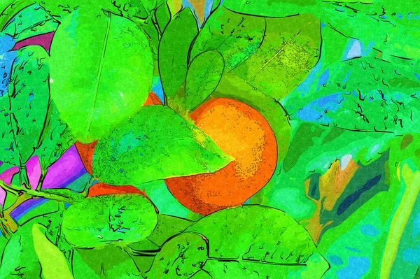 Gyümölcsöző Cserepes Mandarin Narancs Amely Használt Dísznövény Tavaszi Fesztivál Illusztráció — Stock Fotó