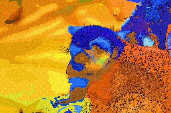 휴식을 취하는 여우원숭이의 스케치 골동품 빈티지 — 스톡 사진