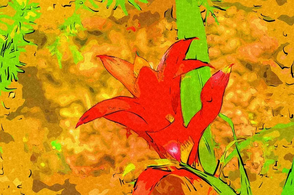 Foto Einer Guzmania Lingulata Blume Illustration Zeichnung Skizze Antik Retro — Stockfoto