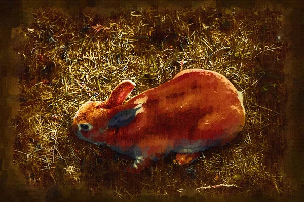 Lindo Conejo Sentado Prado Primavera Campo Verde Caza Conejo Pascua — Foto de Stock