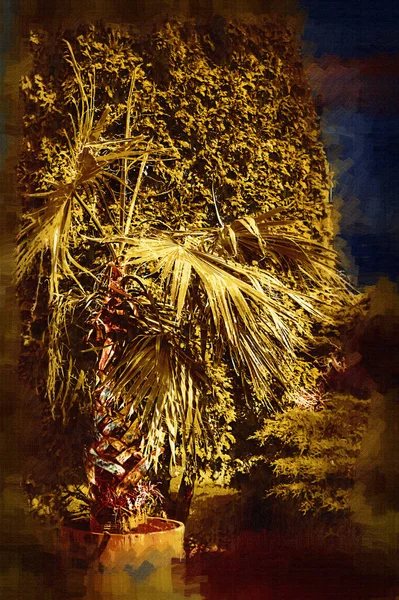 Folha Chinesa Palmeira Arte Ilustração Retro Puxando Esboço Vintage Retro — Fotografia de Stock