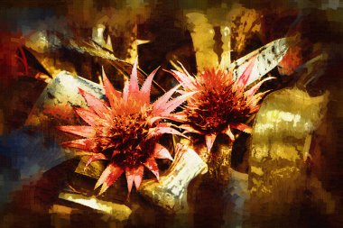 Aechmea fasciata çiçek, yeşil yapraklar, illüstrasyon, çizim, çizim, antika, retro, vintage