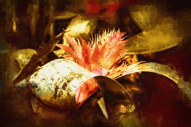 Aechmea fasciata çiçek, yeşil yapraklar, illüstrasyon, çizim, çizim, antika, retro, vintage