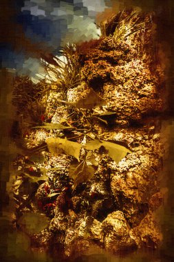 Rohdea japonica, bitki, yeşil yapraklı çiçek, illüstrasyon, çizim, çizim, antika, retro, vintage