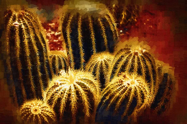 Cactus Jardín Desierto Primavera Ilustración Dibujo Boceto Antiguo Retro Vendimia — Foto de Stock