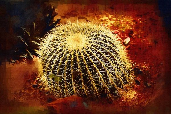 Cactus Jardín Desierto Primavera Ilustración Dibujo Boceto Antiguo Retro Vendimia — Foto de Stock