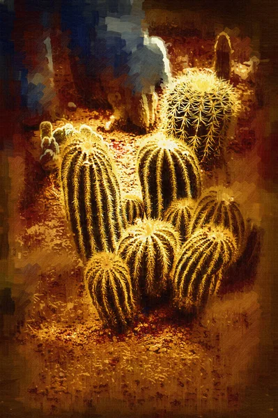 Cactus Jardín Desierto Primavera Ilustración Dibujo Boceto Antiguo Retro Vendimia — Foto de Stock