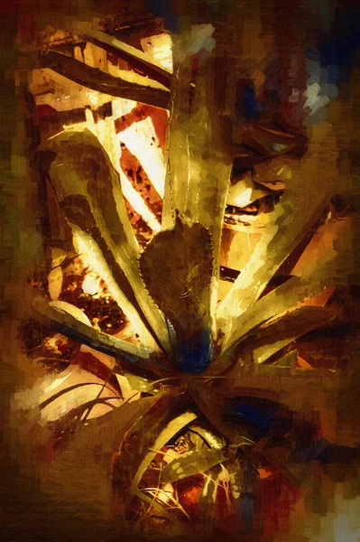 Αμερικάνικο Αγαύη Agave Americana Ριγέ Είδος Του Γένους Agave Υποοικογένεια — Φωτογραφία Αρχείου