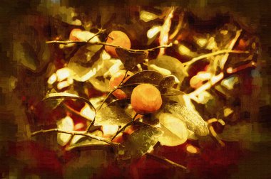 Bahar Festivali 'nde süs bitkisi olarak kullanılan verimli saksı portakalları, illüstrasyon, çizim, eskiz, antika, antika, antika