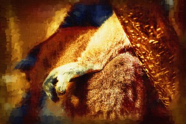 Bir grup dinlenen lemurlar katta, illüstrasyon, çizim, eskiz, antika, antika, antika.