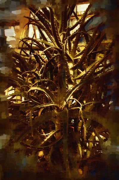 Cura Verde Aloe Arborescens Planta Illust Puxando Esboço Antiguidade Retro — Fotografia de Stock