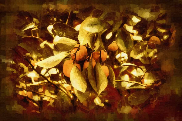 Fruchtbares Topfen Von Mandarinenorangen Die Während Des Frühlingsfestes Als Zierpflanze — Stockfoto