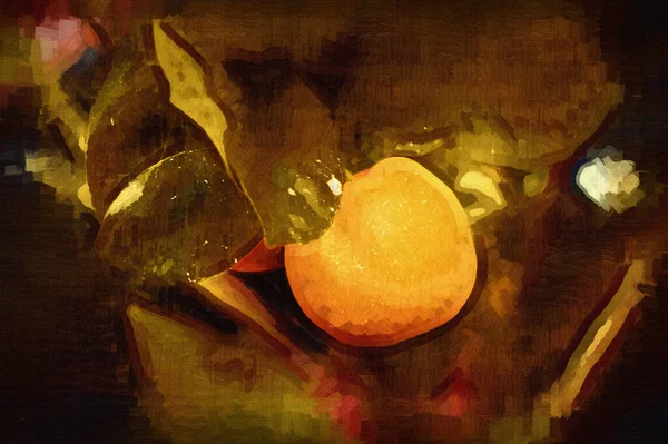Gyümölcsöző Cserepes Mandarin Narancs Amely Használt Dísznövény Tavaszi Fesztivál Illusztráció — Stock Fotó