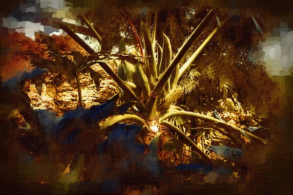 Hartvormige Bicolors Bladeren Van Philodendron Ploegen Manii Zeldzame Exotische Regenwoudplant — Stockfoto