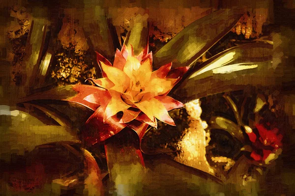 Fénykép Egy Guzmania Lingulata Virág Illusztráció Rajz Vázlat Antik Retro — Stock Fotó