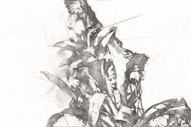 Guzman monostachia, guzmania lingulata, specie Güney Amerika 'ya özgüdür, illüstrasyon, çizim, çizim, antika, retro, vintage.