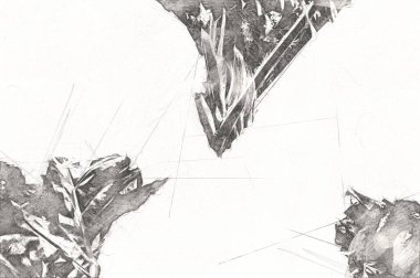 Kalp şeklinde iki renkli Philodendron sabanı nadir bulunan egzotik yağmur ormanları bitkisi eğreltiotu ve tropikal yaprak çeşitleri ile süs bahçesinde, illüstrasyon, çizim, çizim, antika, retro, vintage.