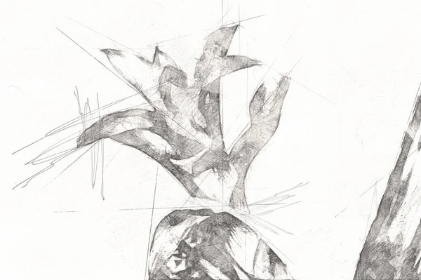 グズマニアリングラータの花 イラスト ドローイング スケッチ アンティーク レトロ ヴィンテージの写真 — ストック写真