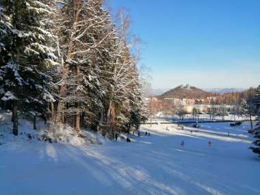 Kış manzarası, panorama, bayrak - kış ormanlarındaki karlı yol manzarası