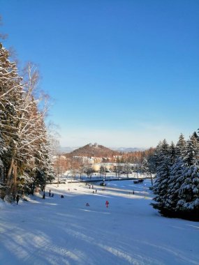 Kış manzarası, panorama, bayrak - kış ormanlarındaki karlı yol manzarası