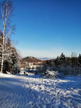 Kış manzarası, panorama, bayrak - kış ormanlarındaki karlı yol manzarası