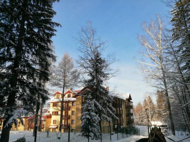 Kış manzarası, panorama, bayrak - kış ormanlarındaki karlı yol manzarası