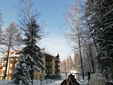Kış manzarası, panorama, bayrak - kış ormanlarındaki karlı yol manzarası