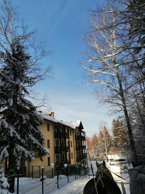 Kış manzarası, panorama, bayrak - kış ormanlarındaki karlı yol manzarası