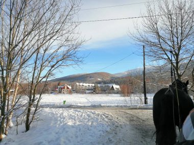 Kış manzarası, panorama, bayrak - kış ormanlarındaki karlı yol manzarası