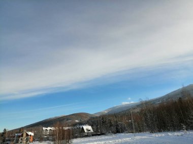Kış manzarası, panorama, bayrak - kış ormanlarındaki karlı yol manzarası