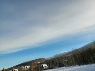 Kış manzarası, panorama, bayrak - kış ormanlarındaki karlı yol manzarası